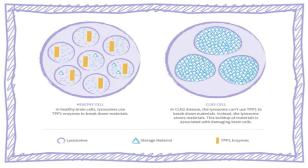 Healthy and unhealthy cell diagrams