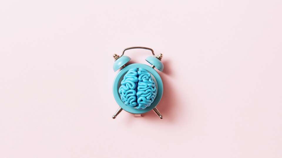 Blue brain in blue alarm clock.