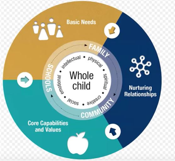 Pie chart with different options on it