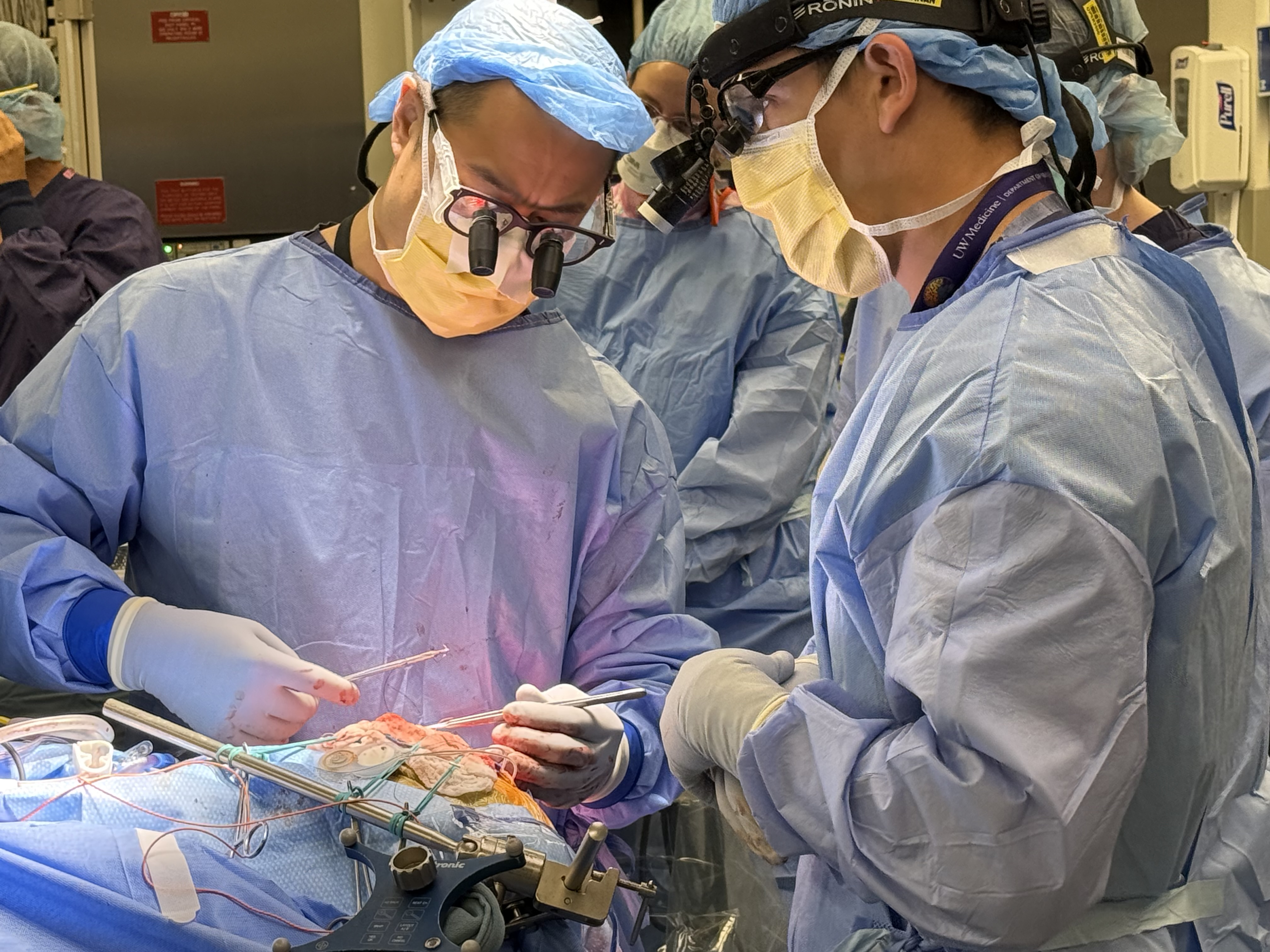 Surgeons doing surgery