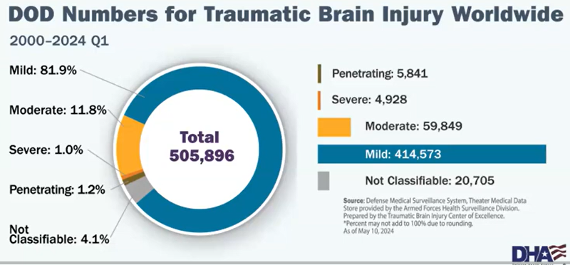 Pie chart explaining traumatic brain injury