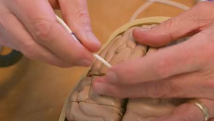 Brain being touched with tool