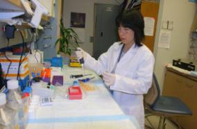 photo of lab scientist at work