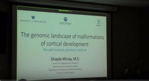 The genomic landscape of malformations of cortical development