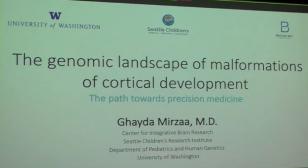 Dr. Mirzaa Presentation Slide