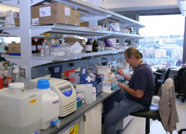 Lab worker in Ramirez lab